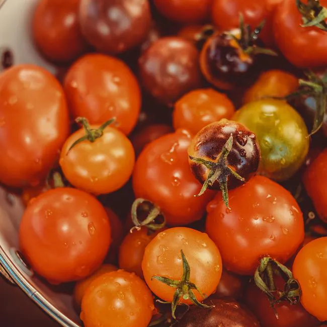 Pomodori misti