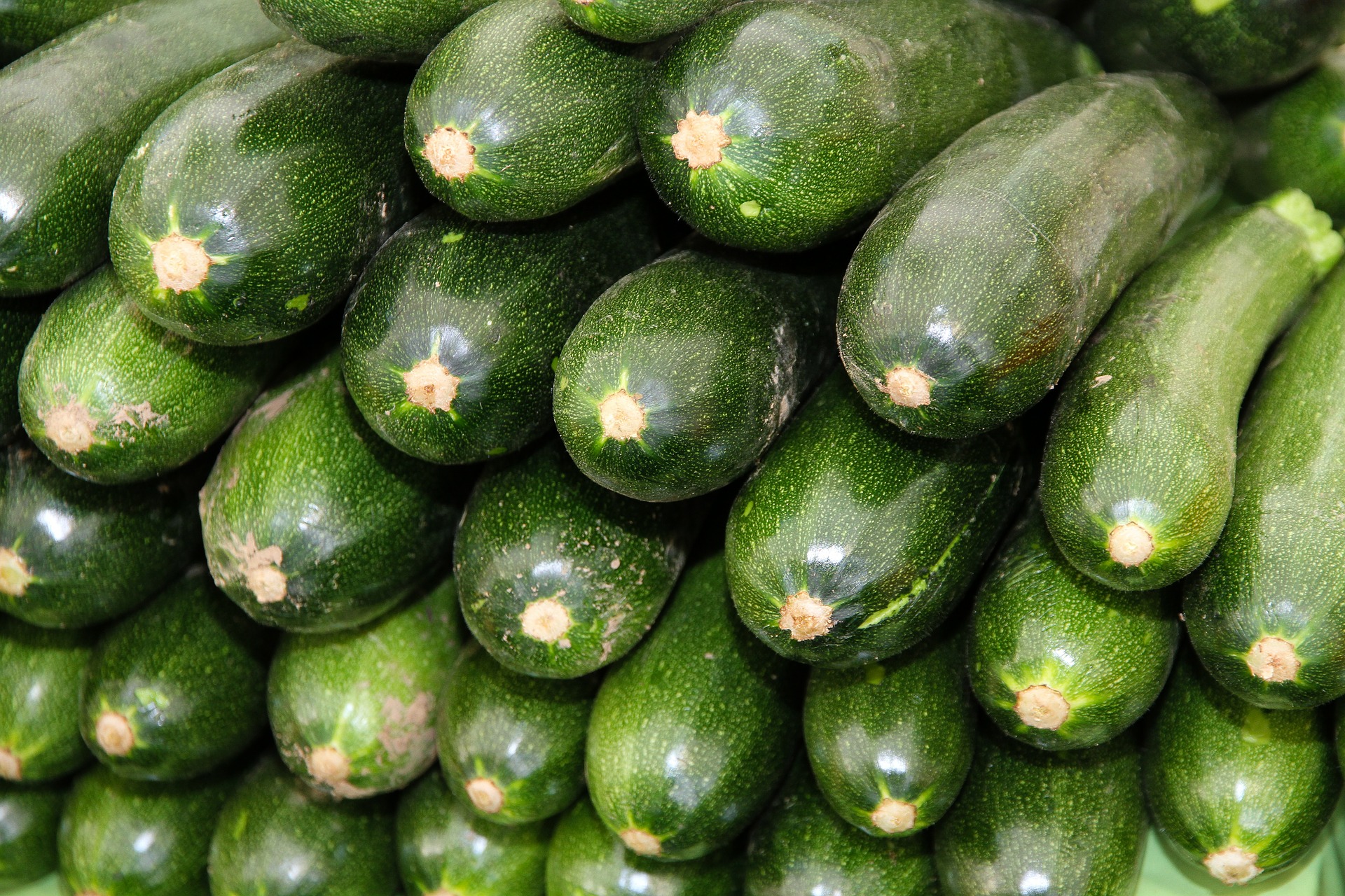 Immagine - Zucchine