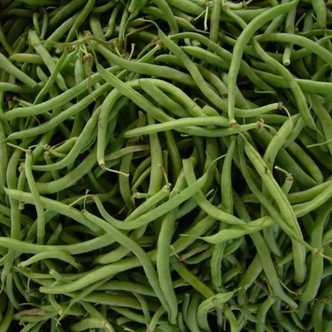 Giugno