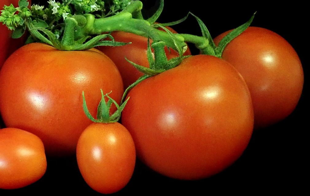 Immagine - Pomodori misti