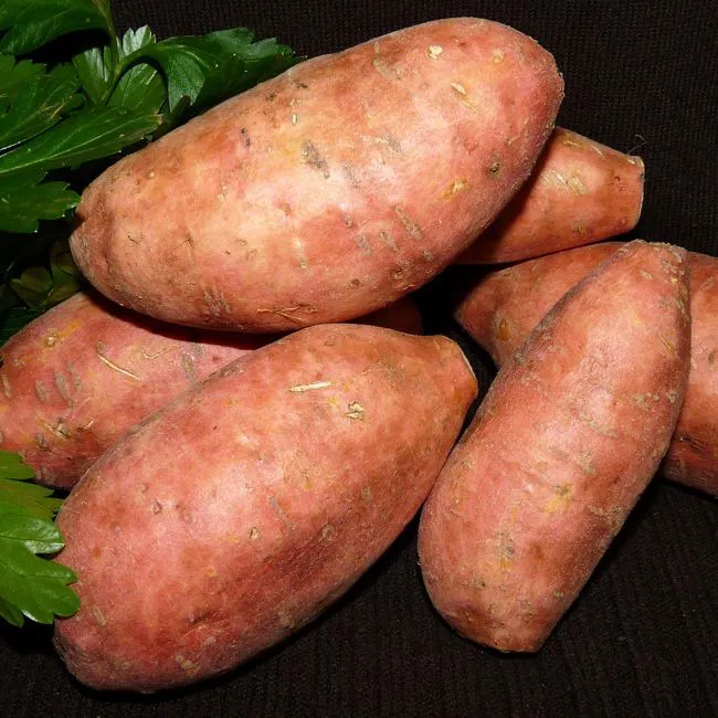 Patate dolci