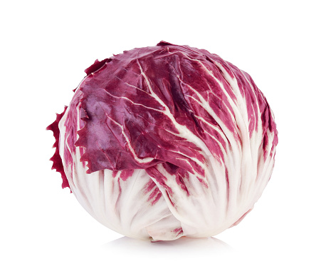 Immagine - Radicchio chioggia