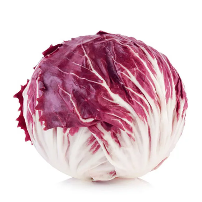Radicchio chioggia