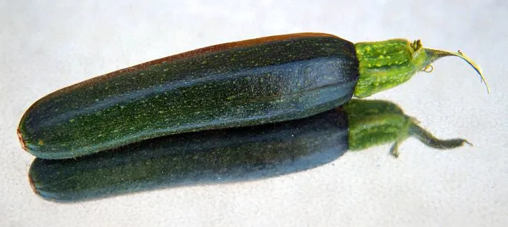 Immagine - Zucchine