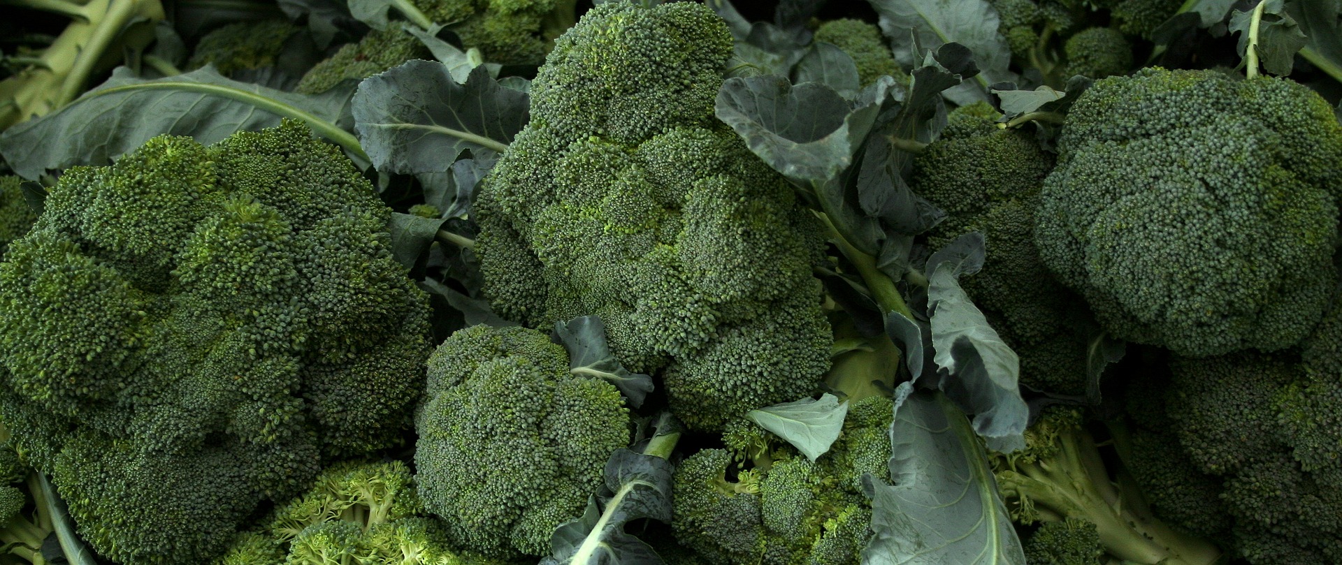 Immagine - Cime di rapa 