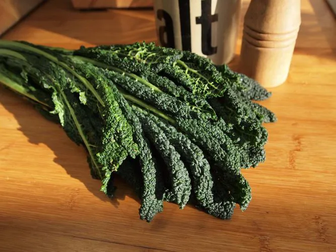 Immagine - Cavolo nero