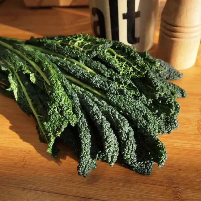 Cavolo nero