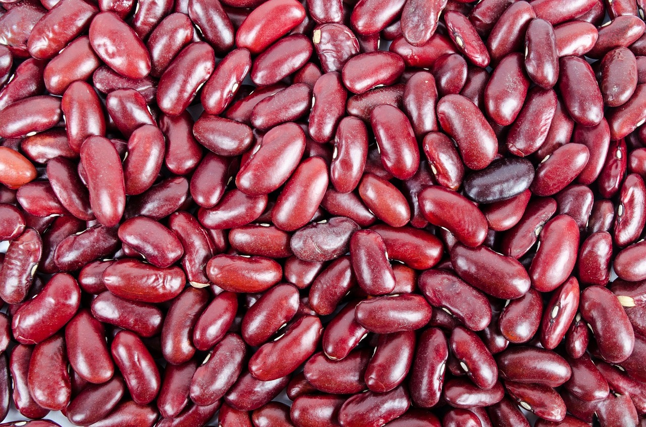Immagine - Fagioli