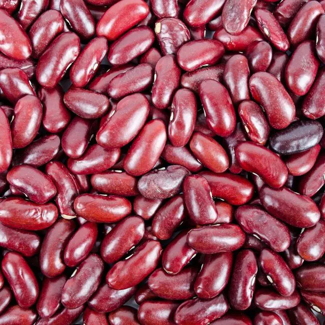 Fagioli
