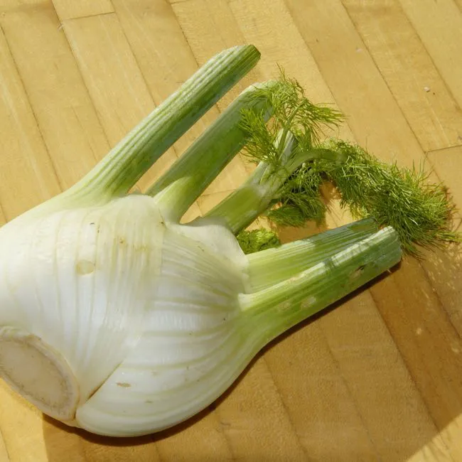 Finocchio