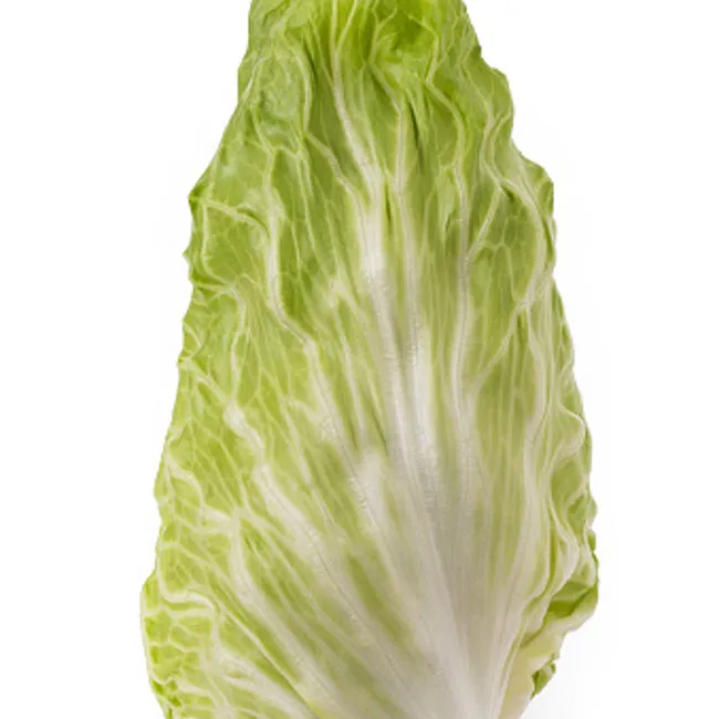 Pan di zucchero