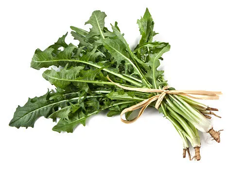 Immagine - Radicchio da campo
