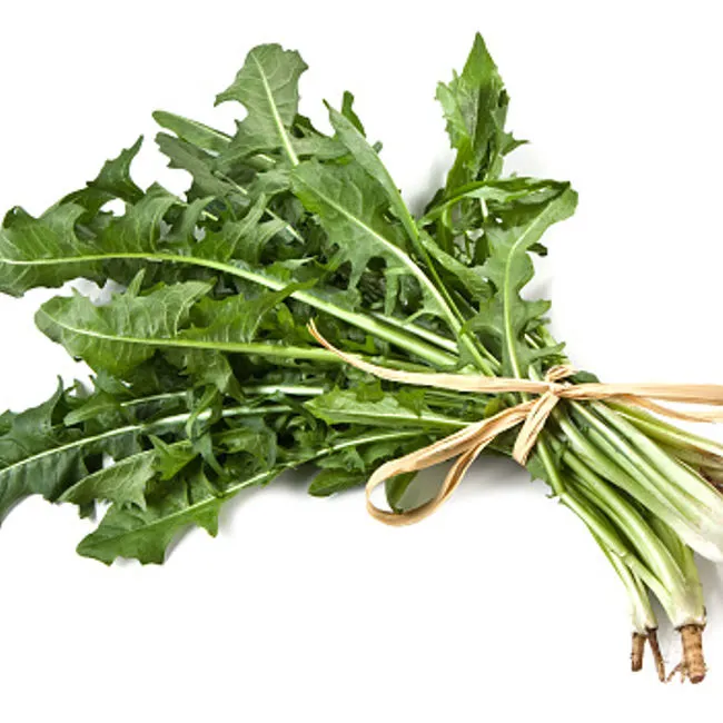 Radicchio da campo