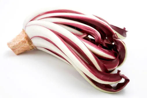 Immagine - Radicchio treviso