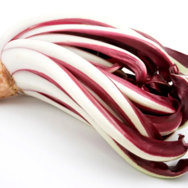 Radicchio treviso