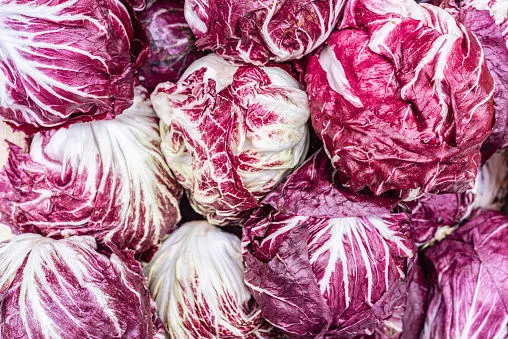 Immagine - Radicchio variegato