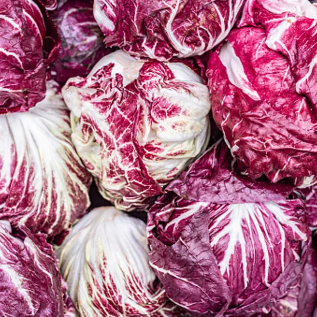 Radicchio variegato