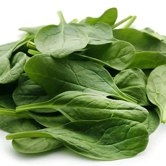 Spinaci a radice