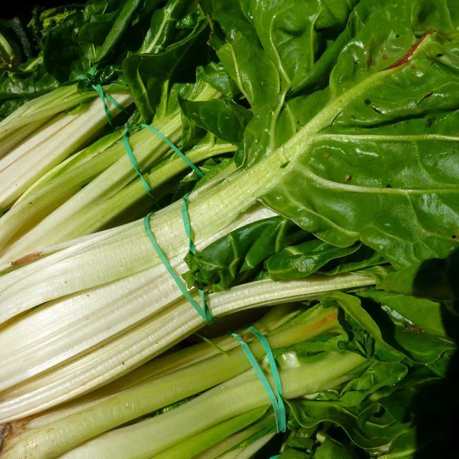 Coste