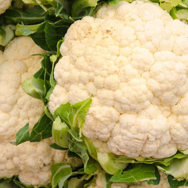 Cavolfiore bianco
