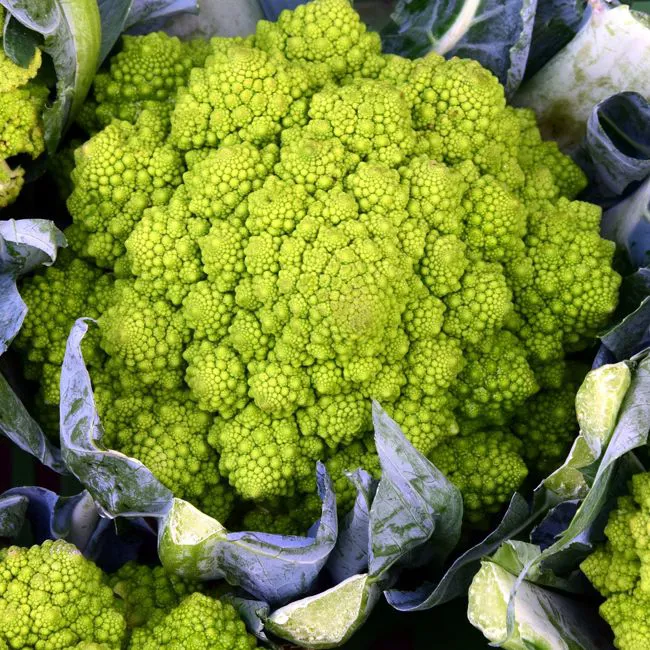 Cavolfiore verde