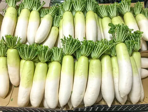 Immagine - Daikon