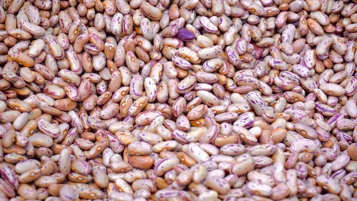 Immagine - Fagioli