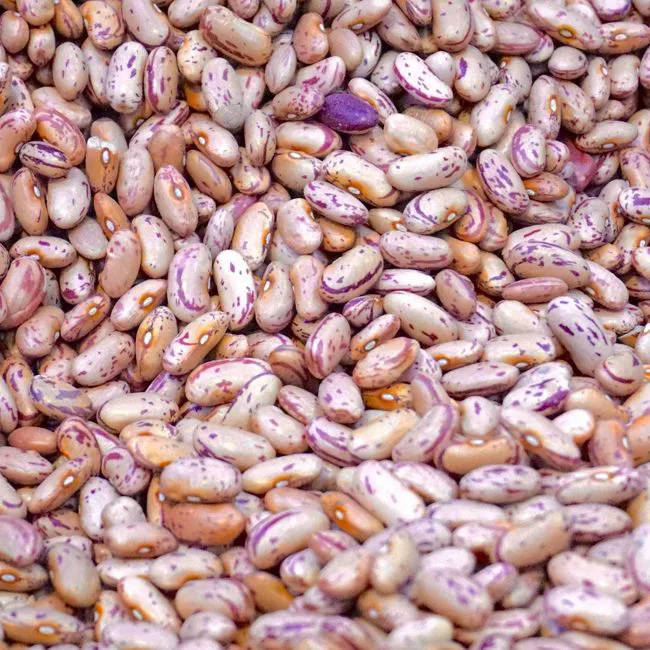 Fagioli