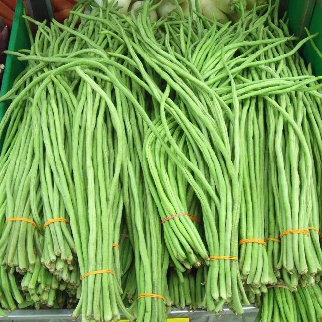 Fagiolini