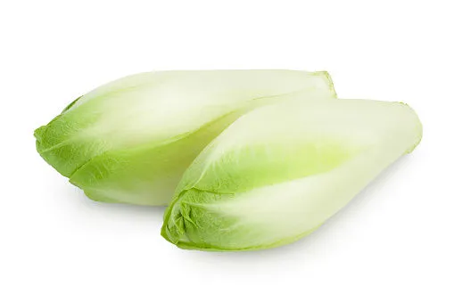 Immagine - Radicchio bianco