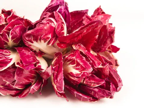 Immagine - Radicchio Chioggia