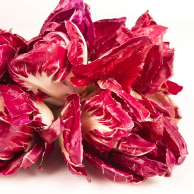 Radicchio Chioggia