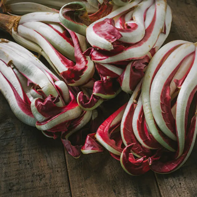 Radicchio Treviso