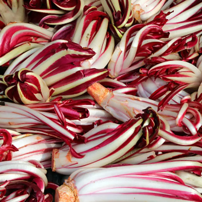 Radicchio Verona