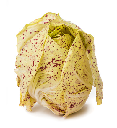 Immagine - Radicchio variegato