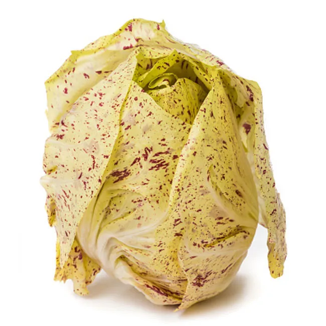 Radicchio variegato