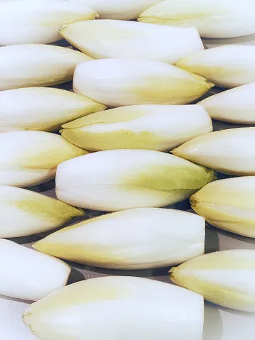 Immagine - Radicchio bianco