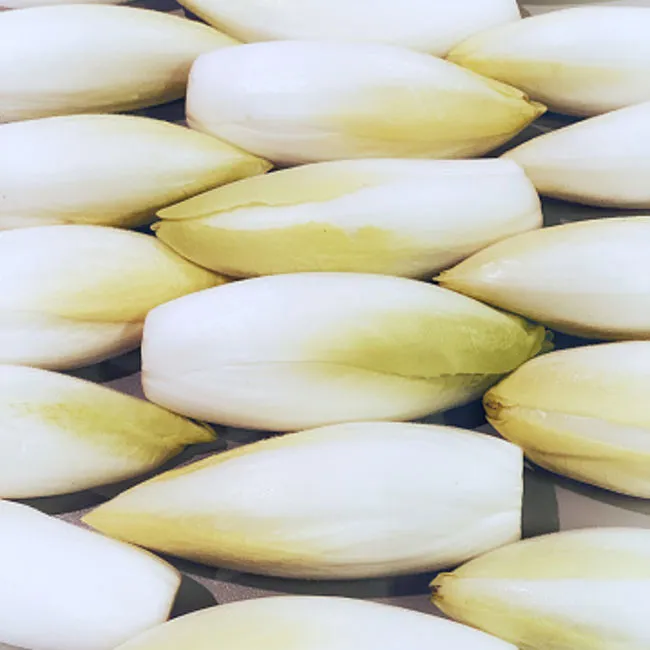 Radicchio bianco