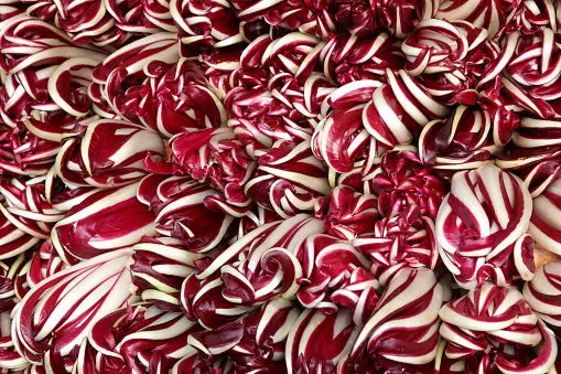 Immagine - Radicchio Verona