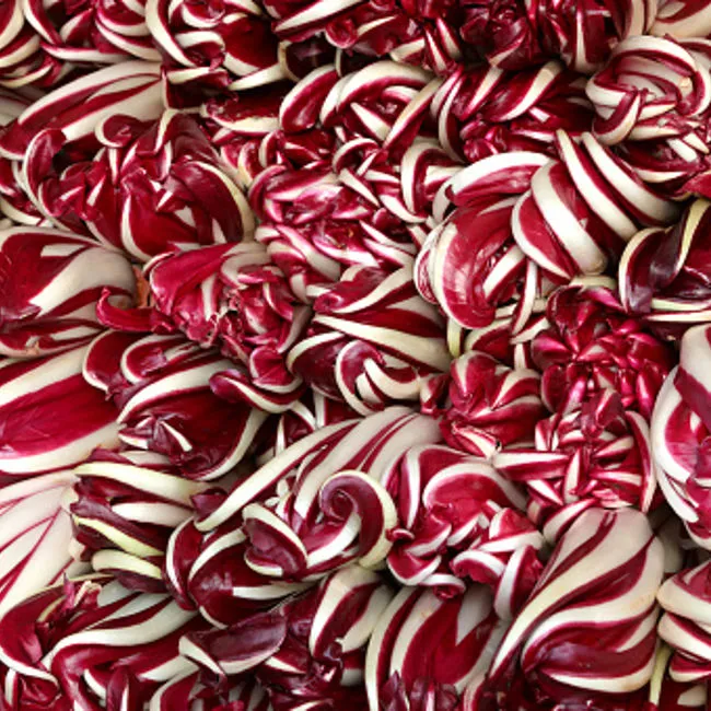 Radicchio Verona