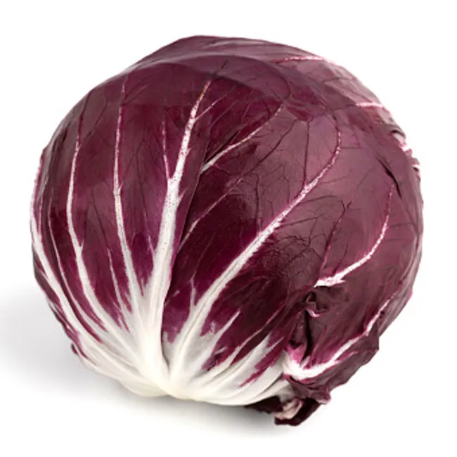 Radicchio Chioggia