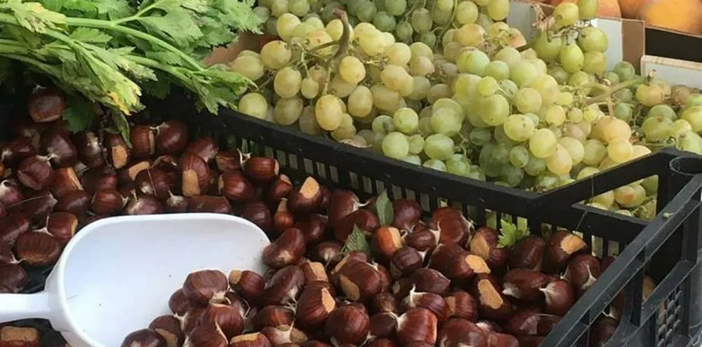 Arbizzano presso località Novare 