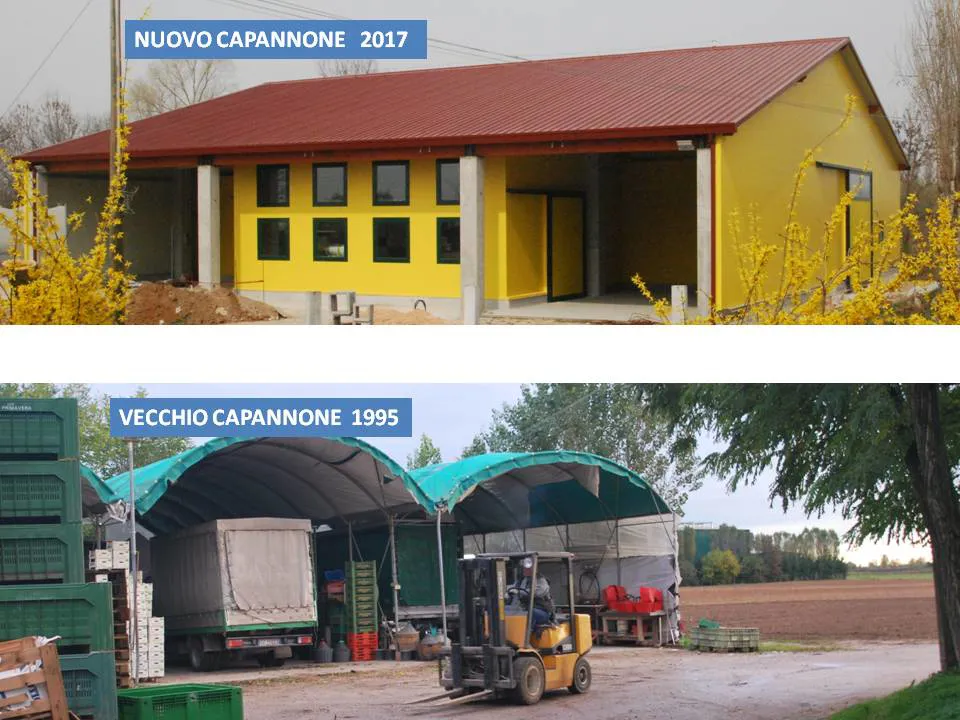 Il Progetto