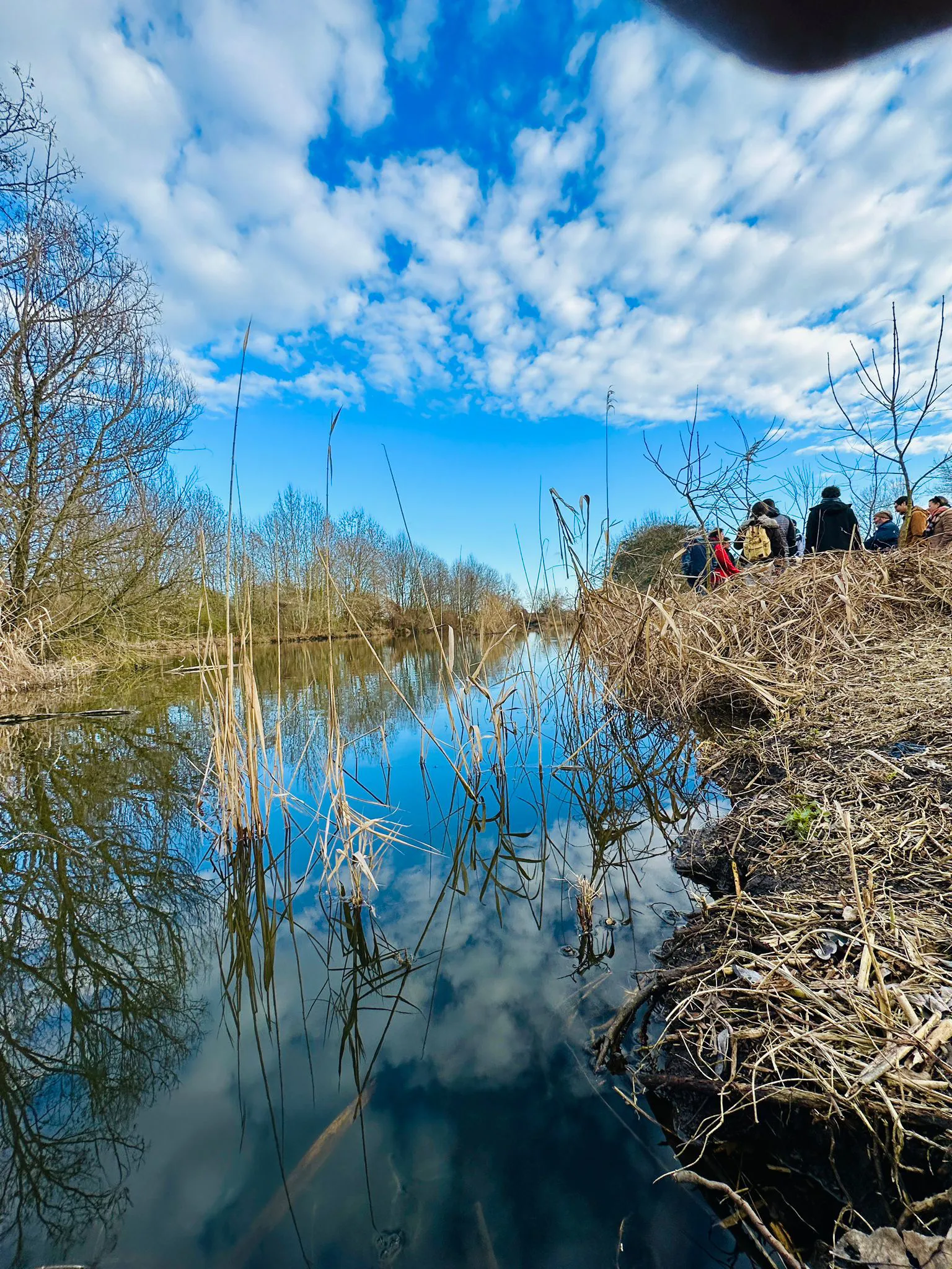 La Palude di Pellegrina