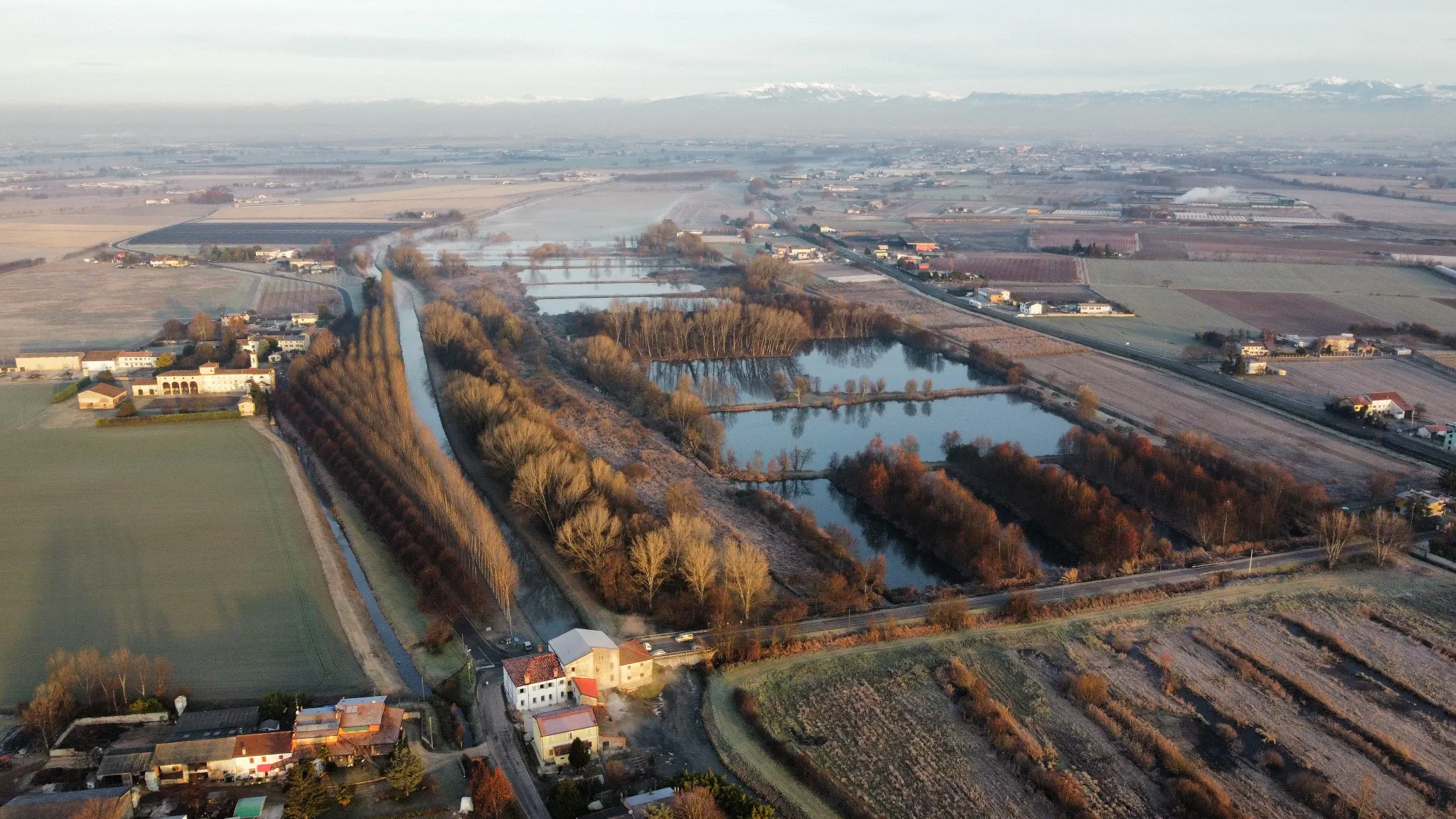 Il Progetto Palude
