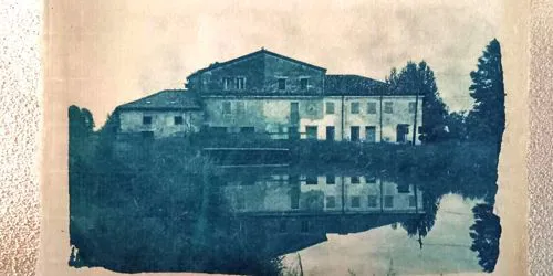 Cianotipia di Annalisa Mercuri 2025