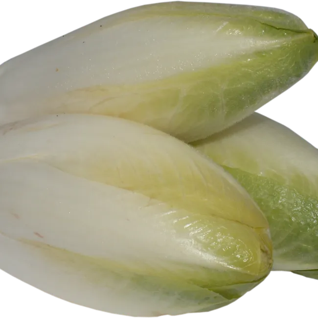 Radici amare