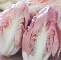 Immagine - Radicchio rosa