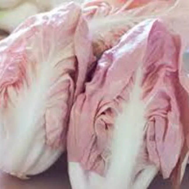 Radicchio rosa