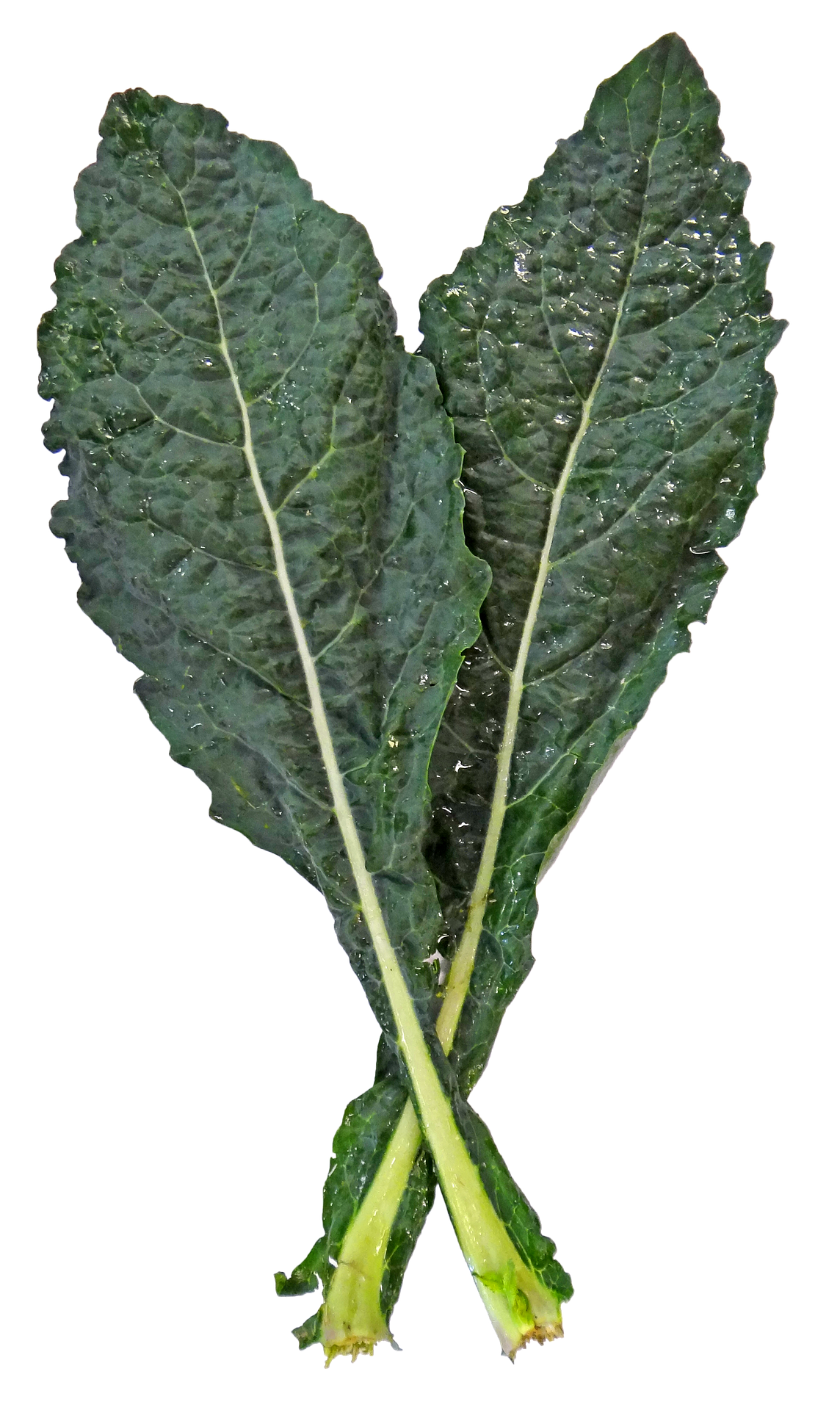 Immagine - Cavolo nero